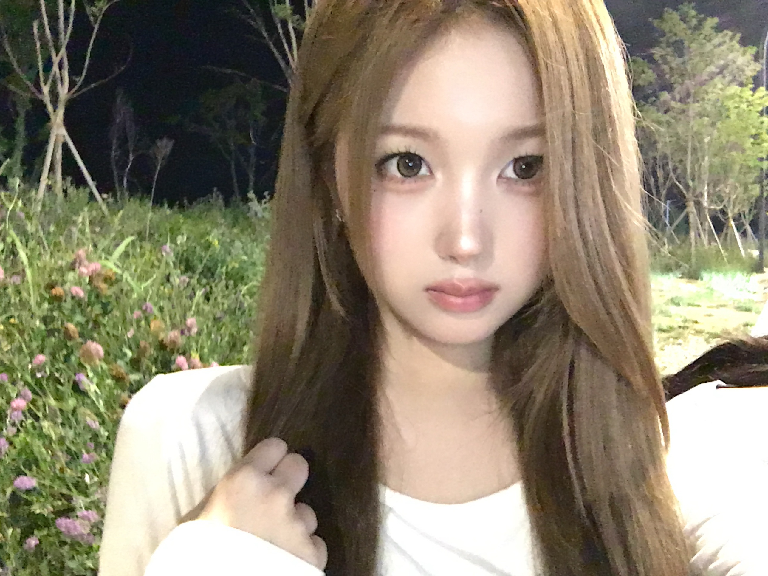 꽃 짱마나ㅏ