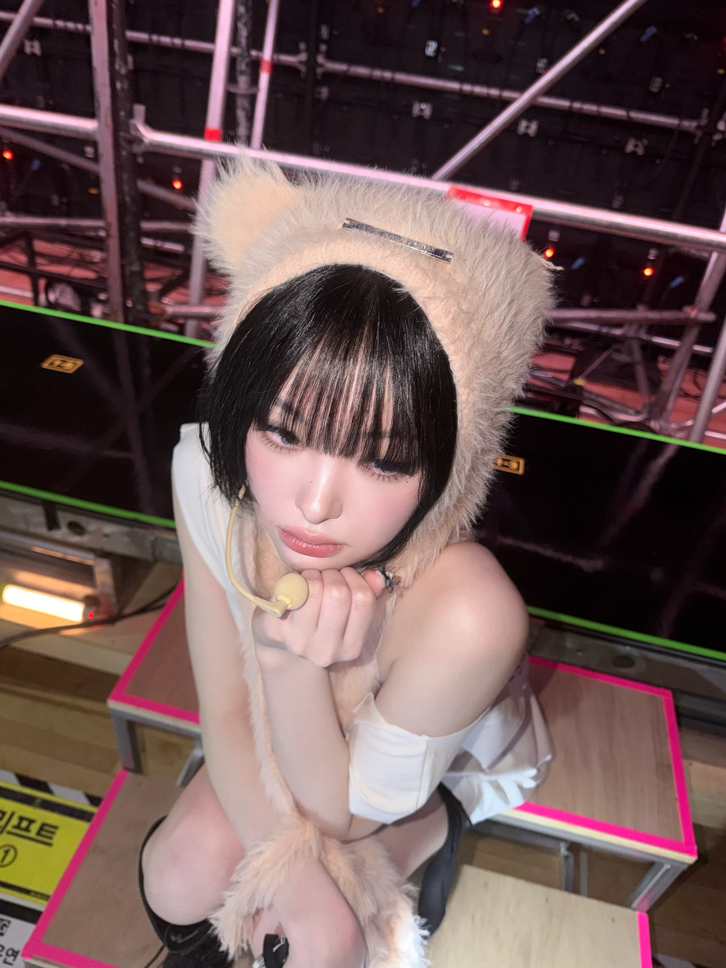 이 귀여운고양이 누구고양이죠?😽