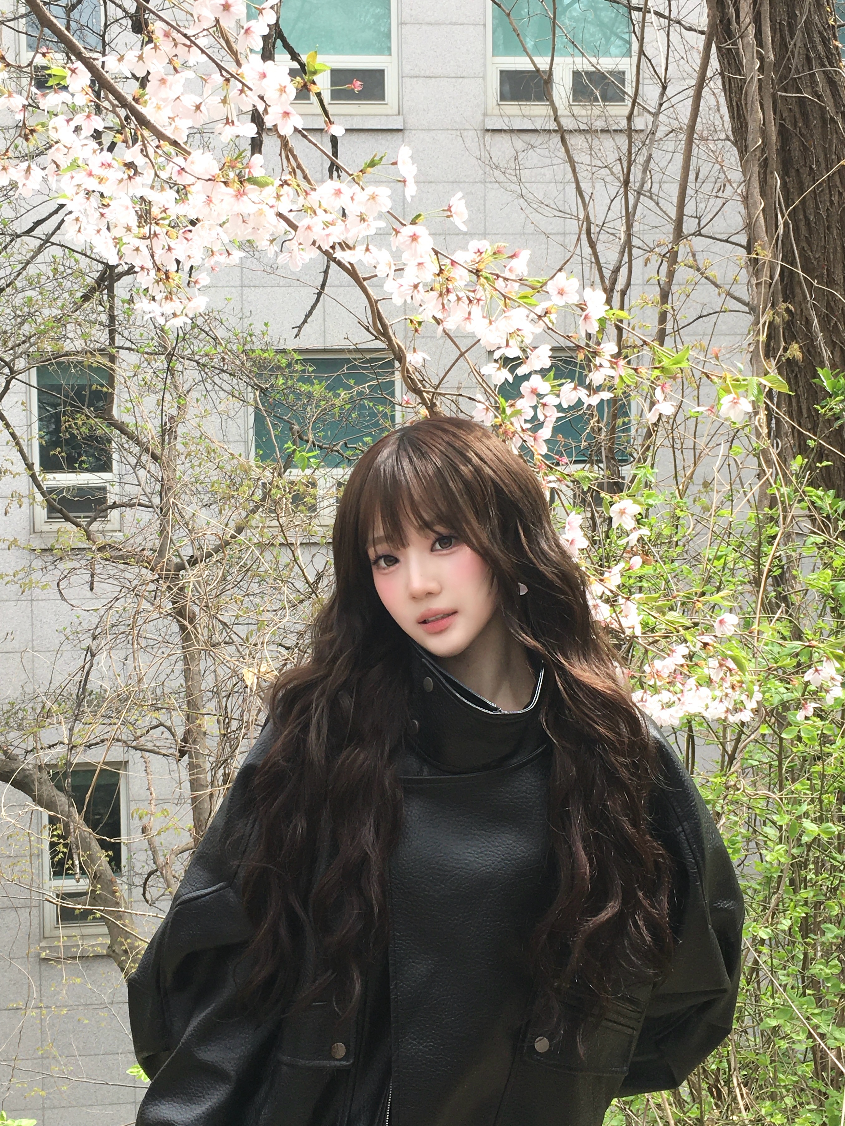 벚꽃!!!