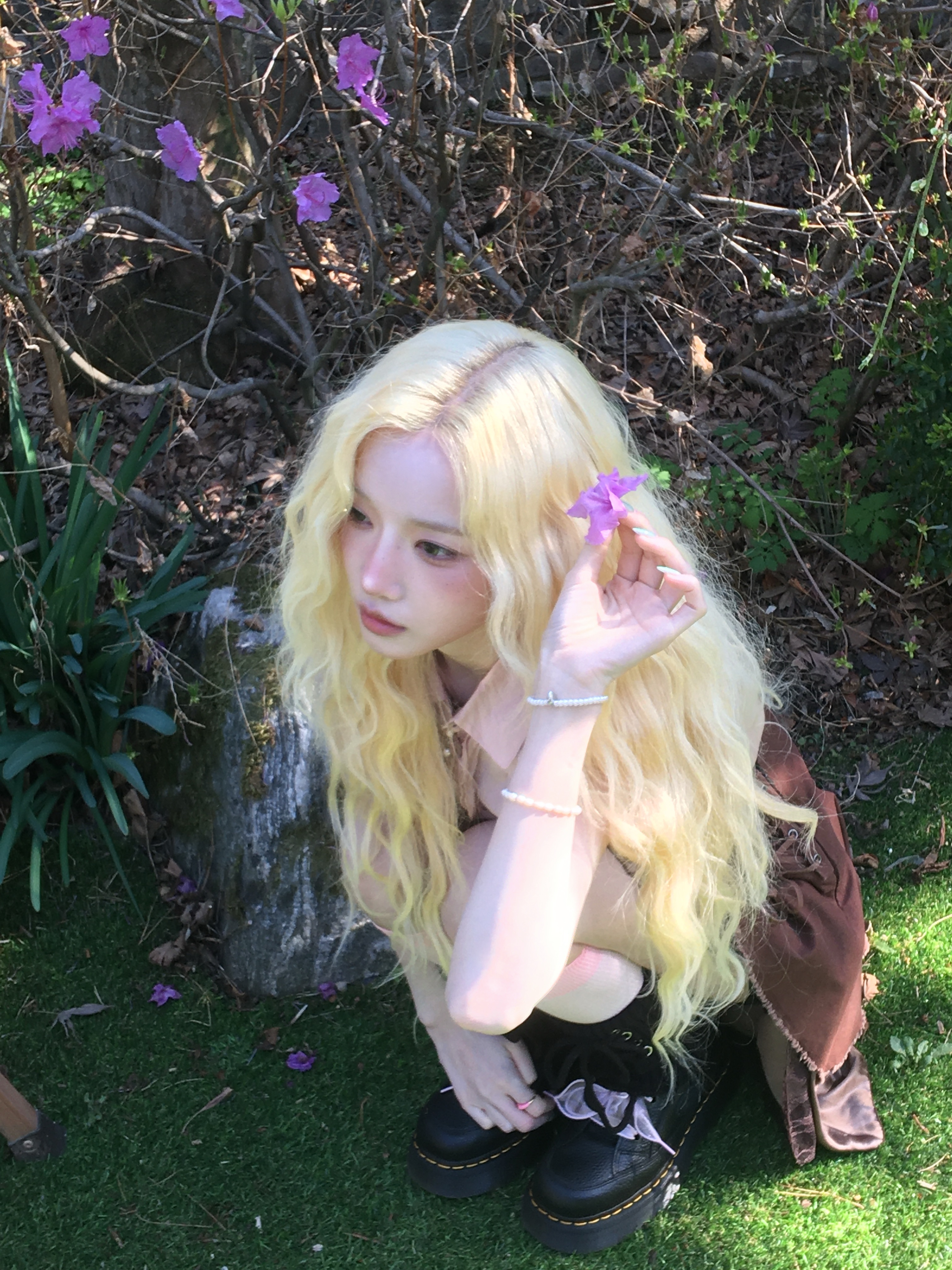 🌸🌸🌸🌸🌸