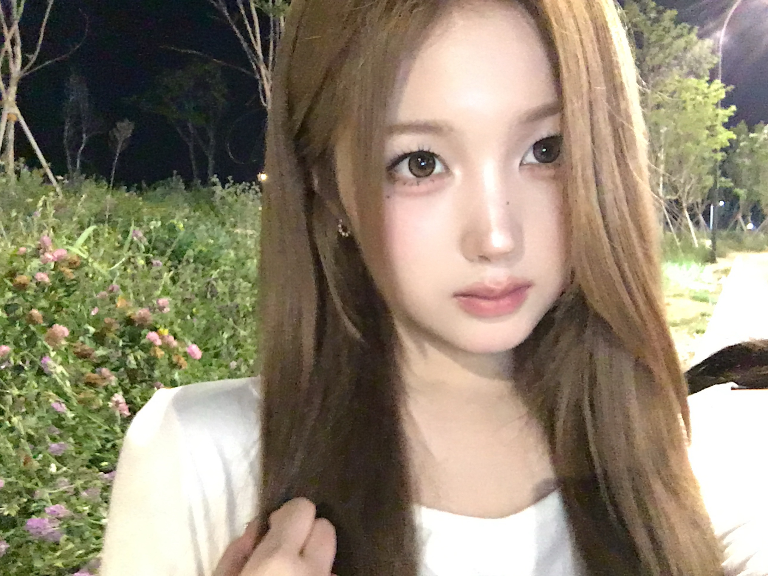 꽃 짱마나ㅏ