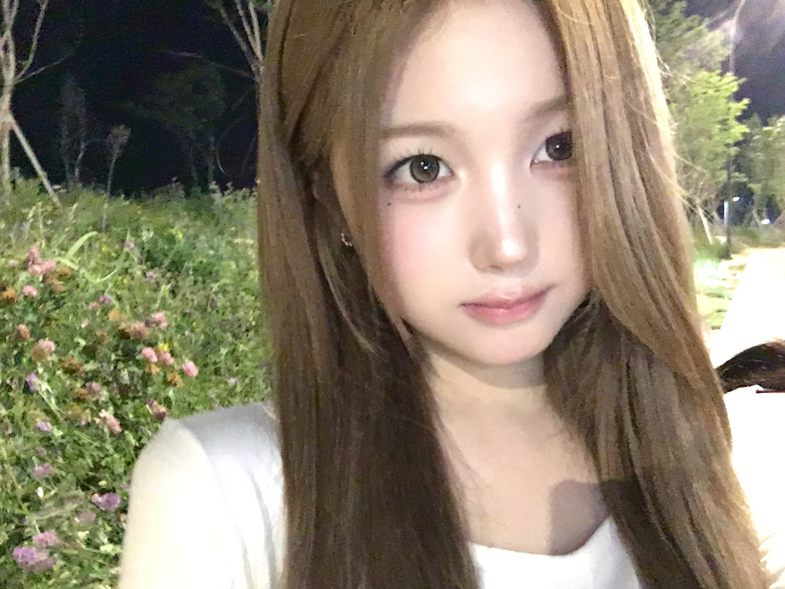 꽃 짱마나ㅏ