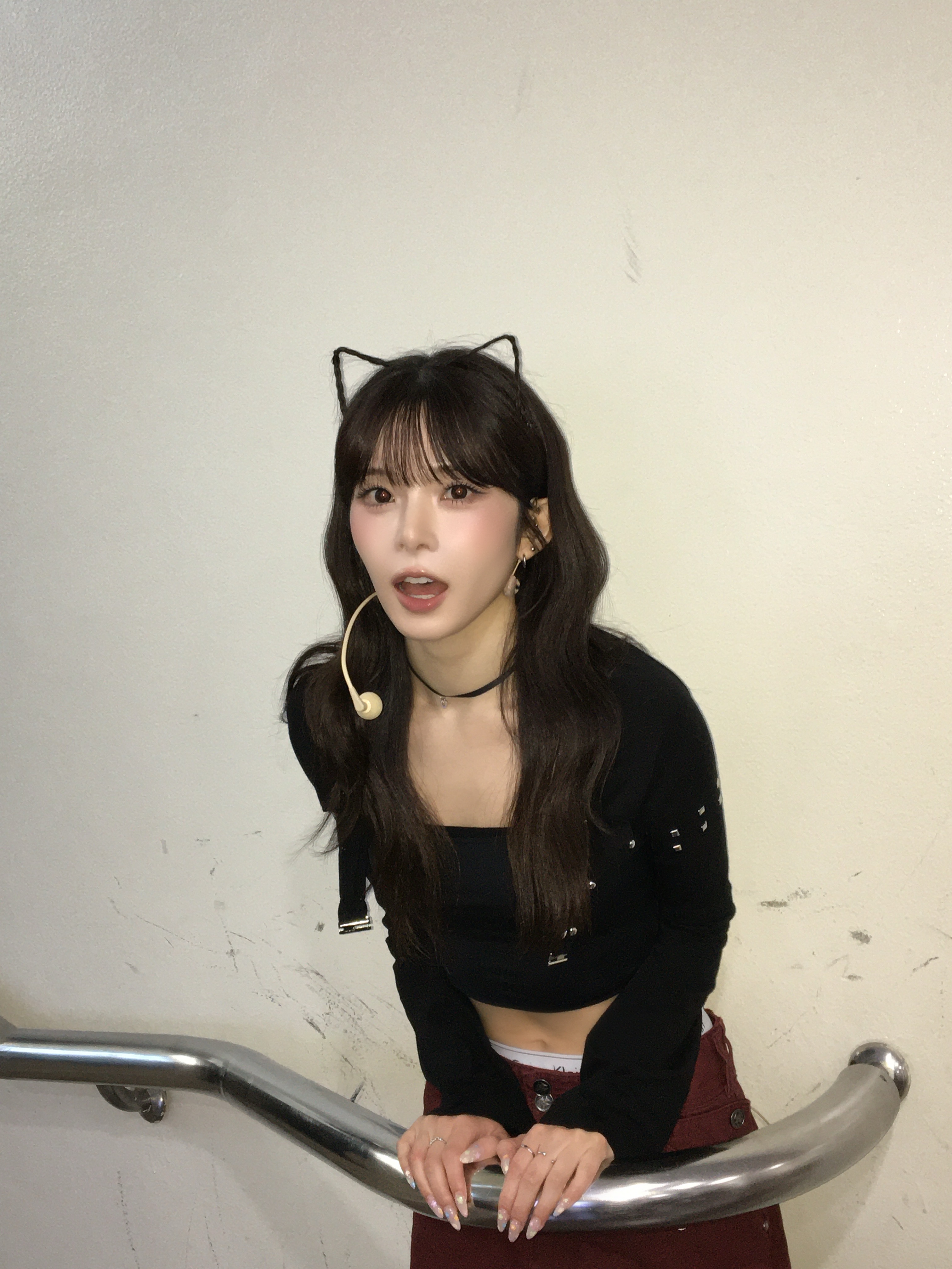 세계 고양이의 날