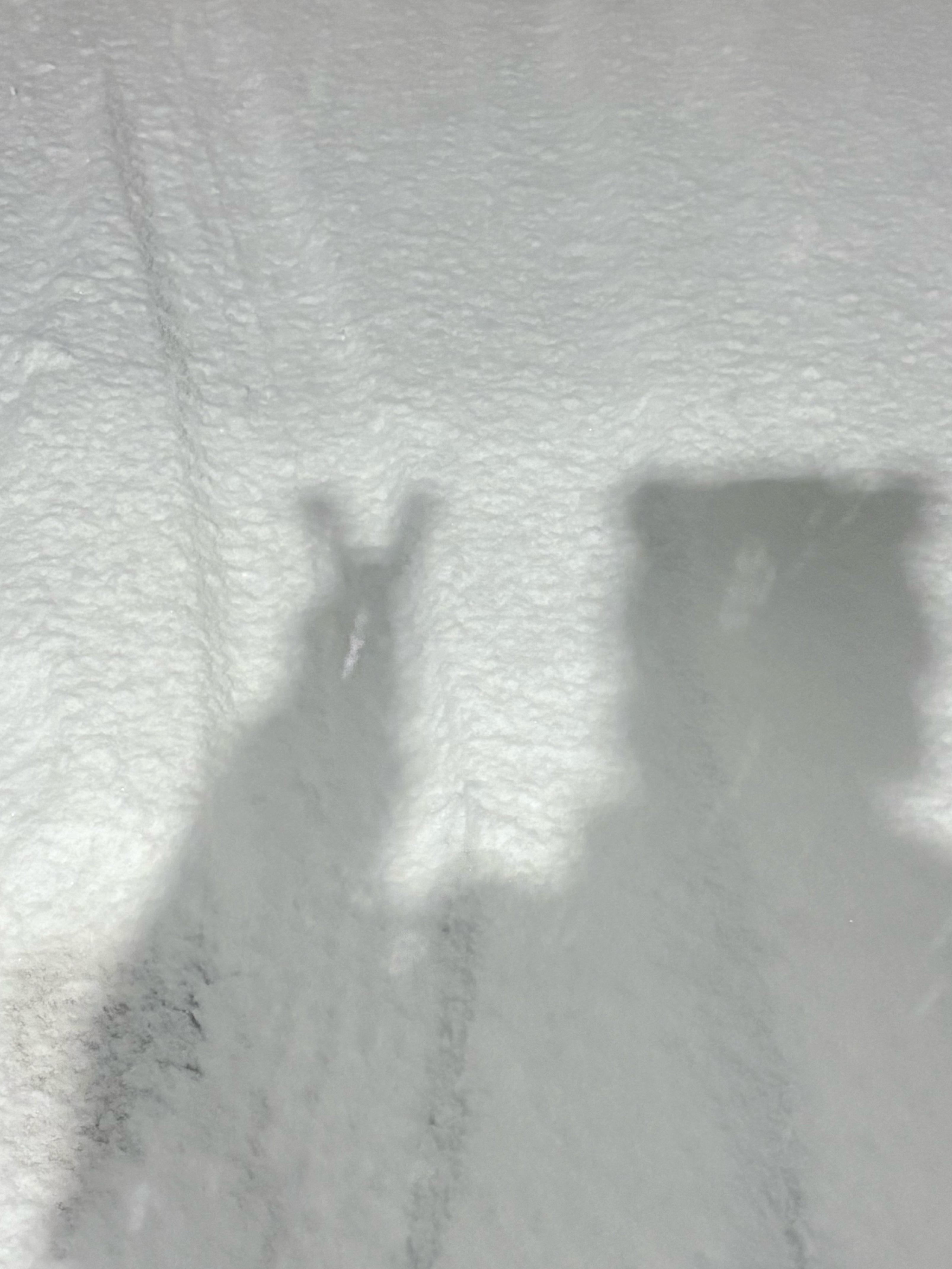 첫눈❄️ wav 사랑해~ ♡