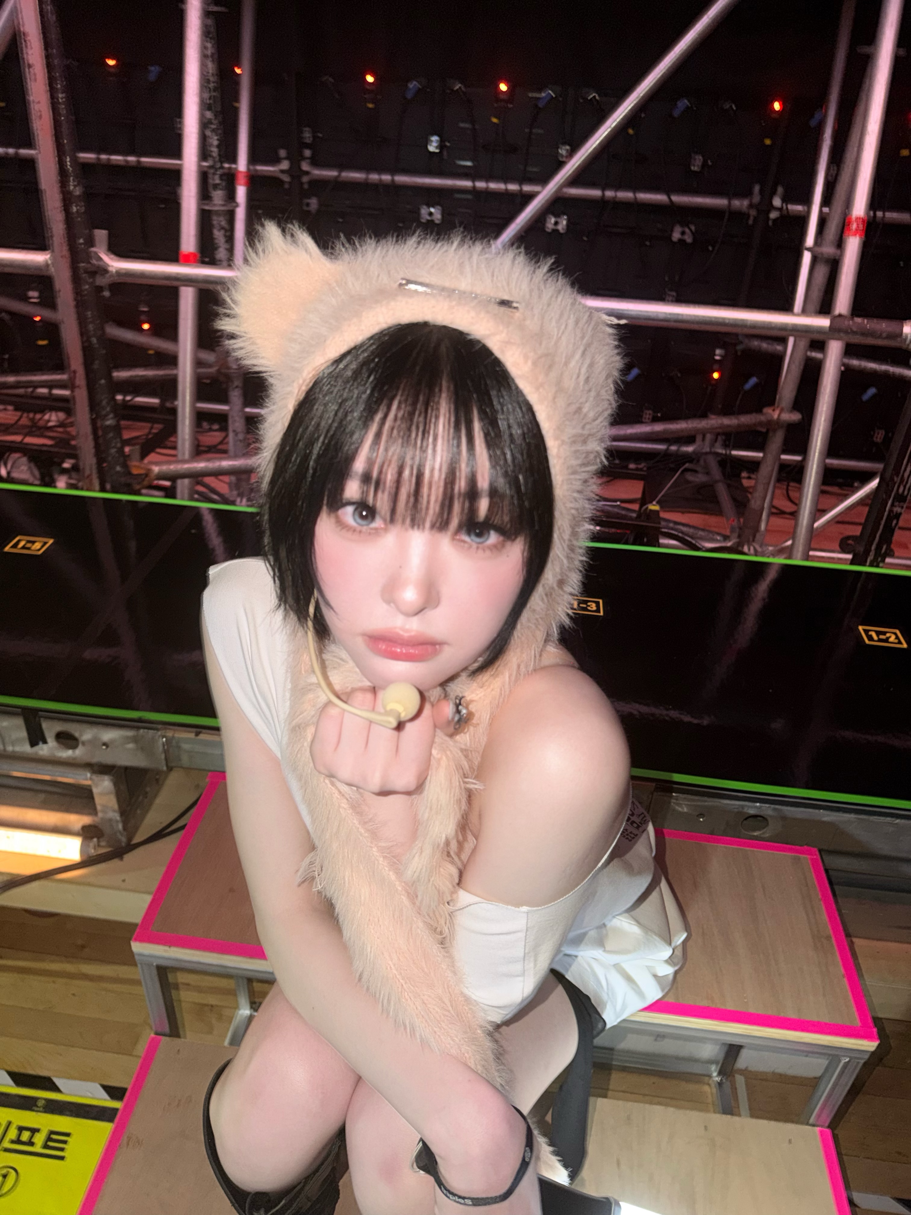 이 귀여운고양이 누구고양이죠?😽