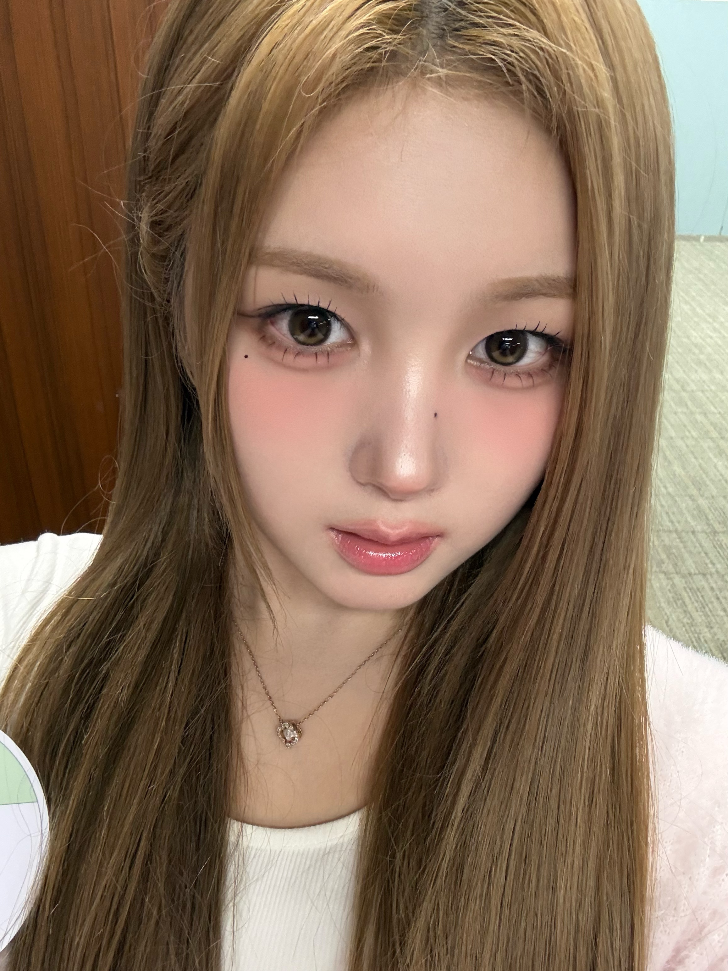 행운의 고양이 😽🍀
