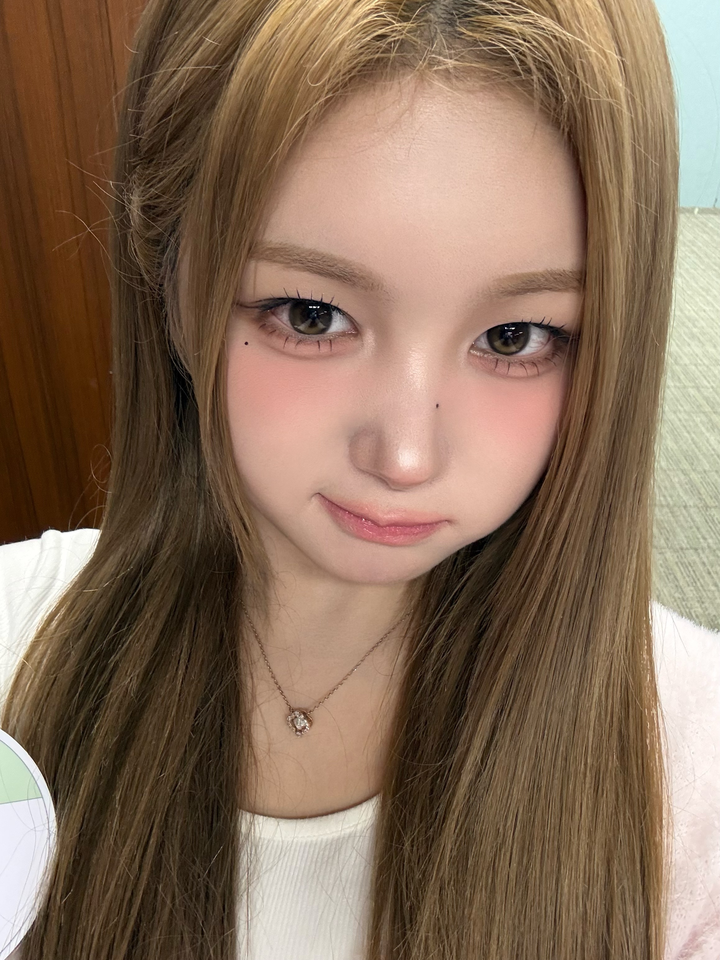 행운의 고양이 😽🍀