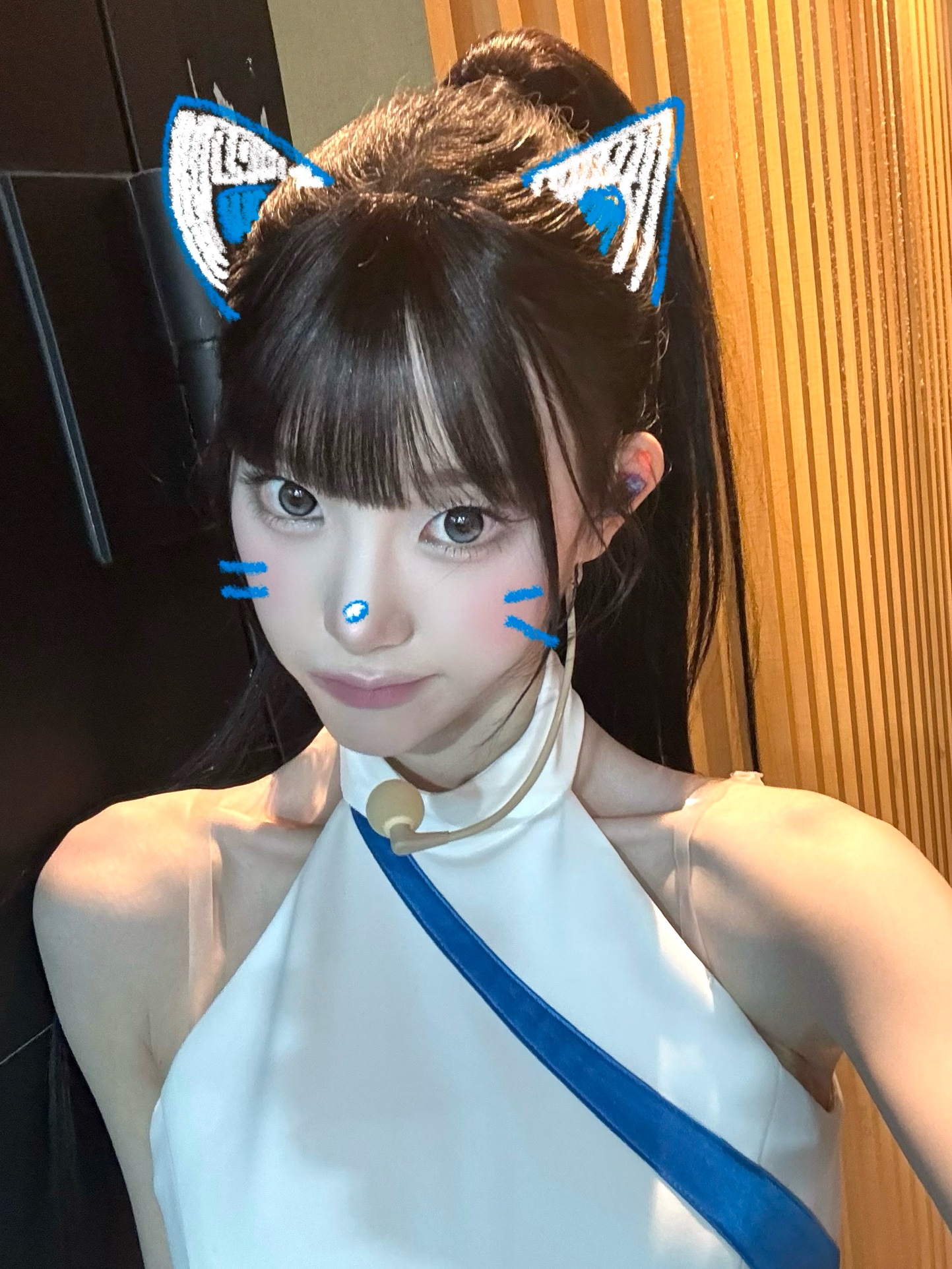 ฅ/ᐠ. ̫ .ᐟ\ฅ ニャー 🤍
