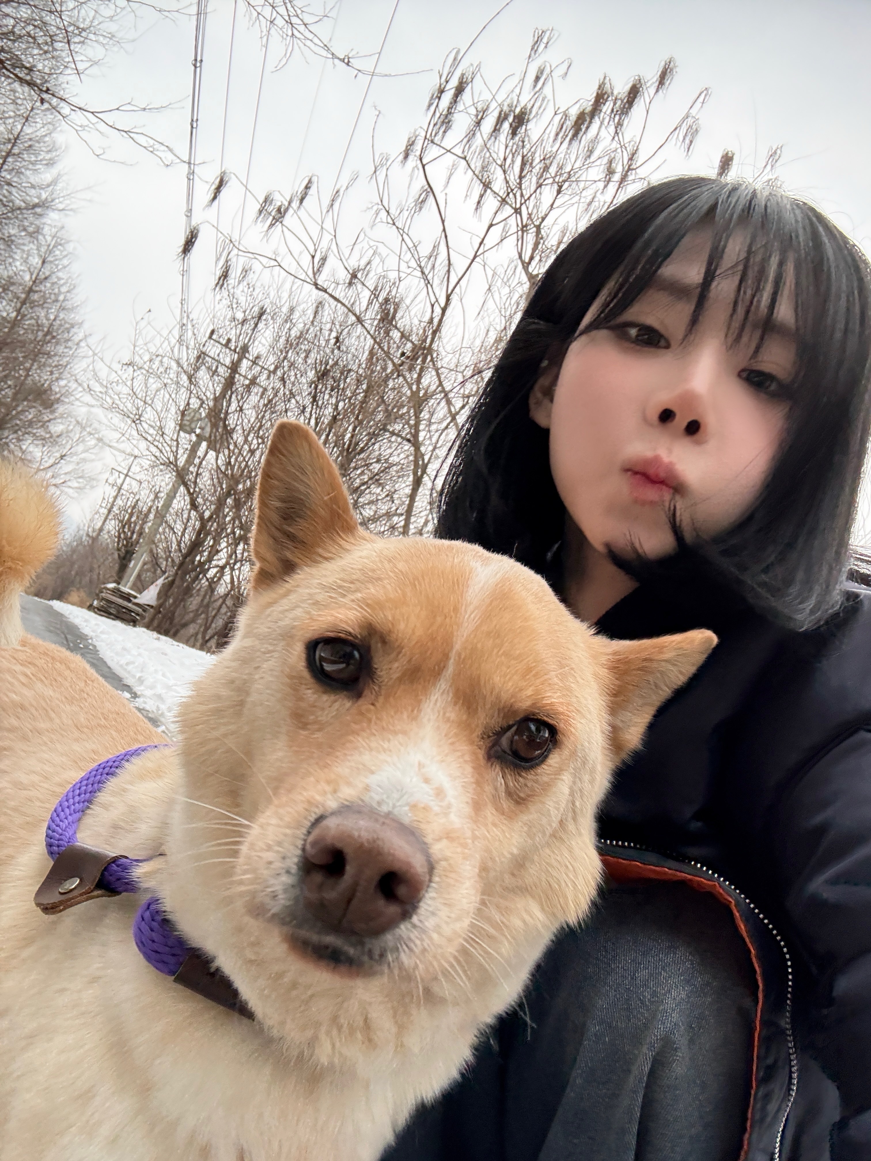2026년 2월 4일 수요일 댕댕이들이랑🐶🐶 깨비야 나야 간식이야