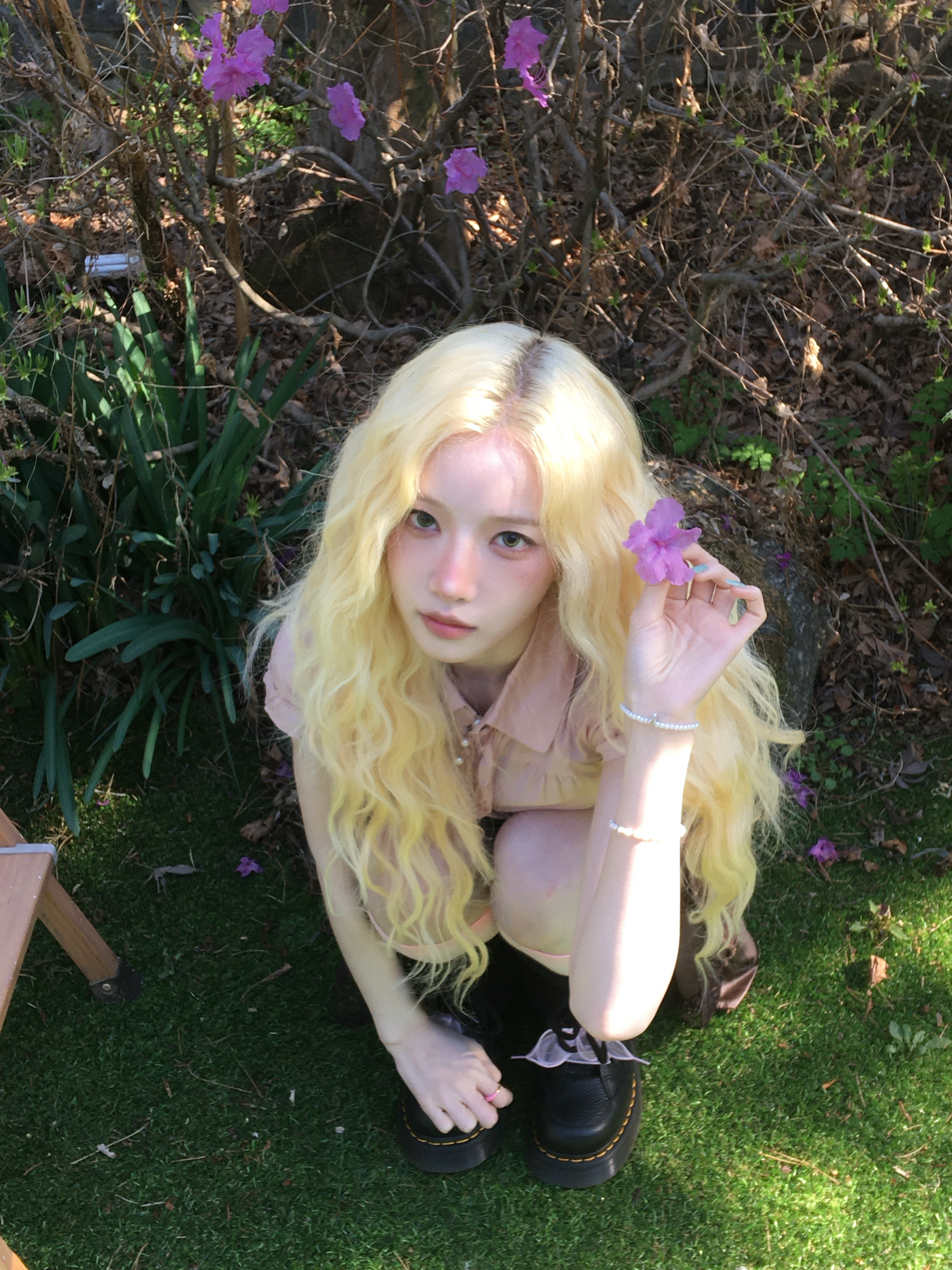 🌸🌸🌸🌸🌸