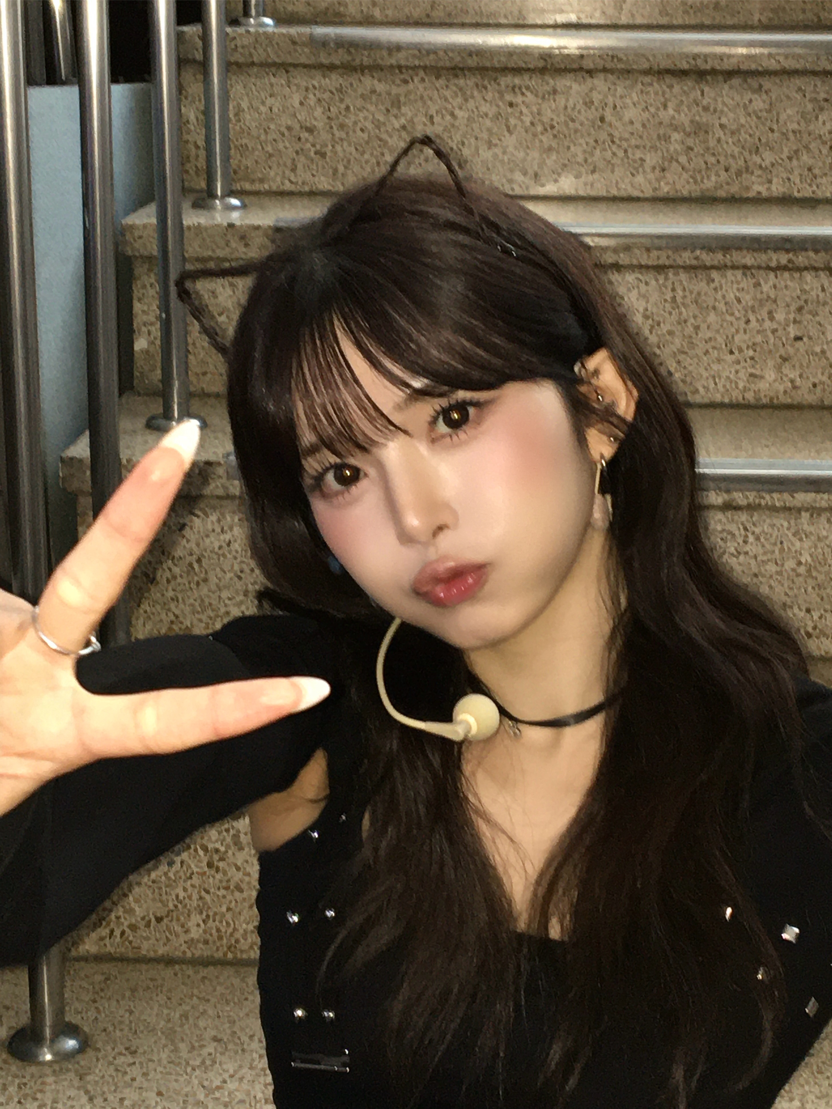 세계 고양이의 날