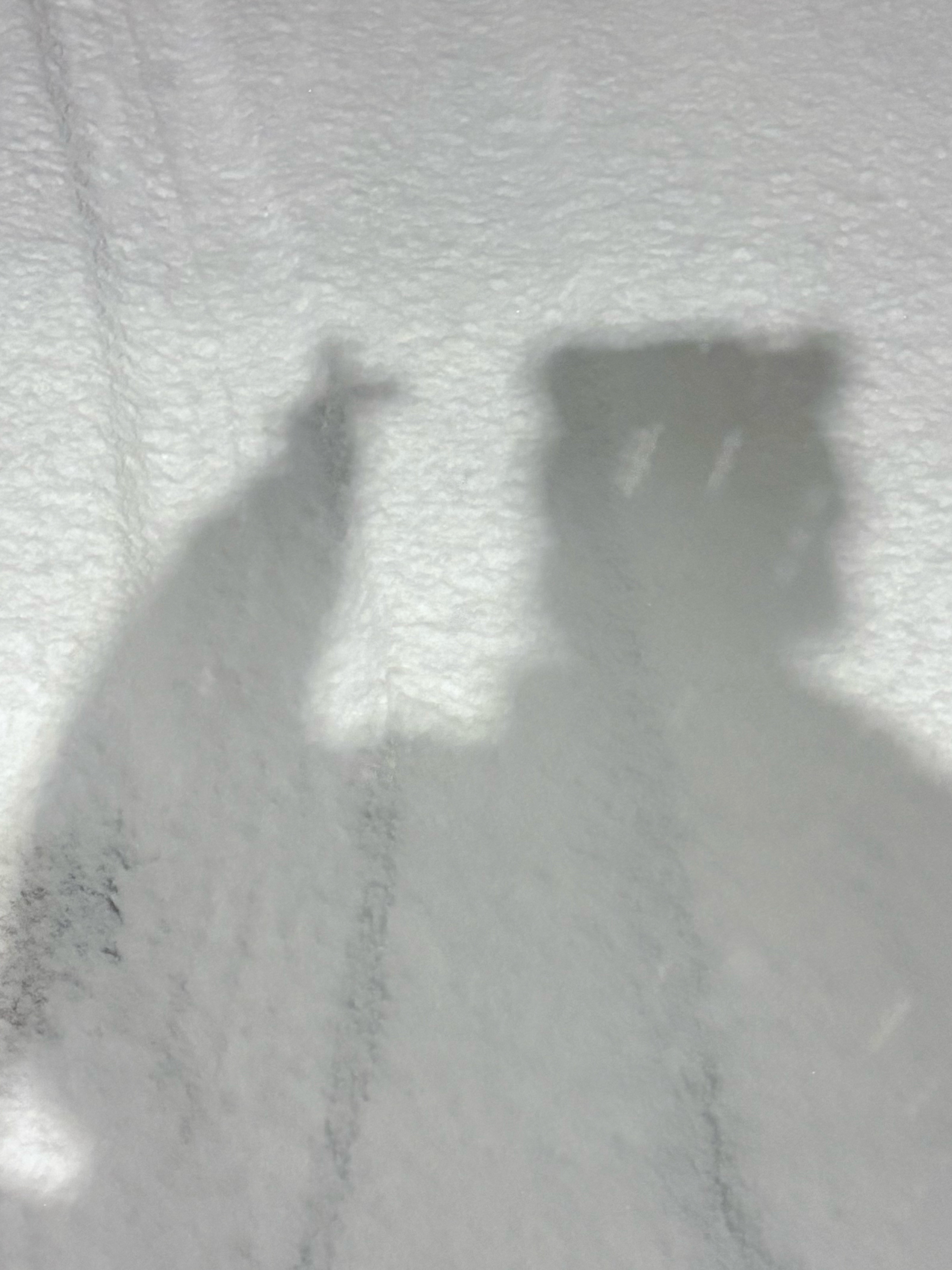 첫눈❄️ wav 사랑해~ ♡