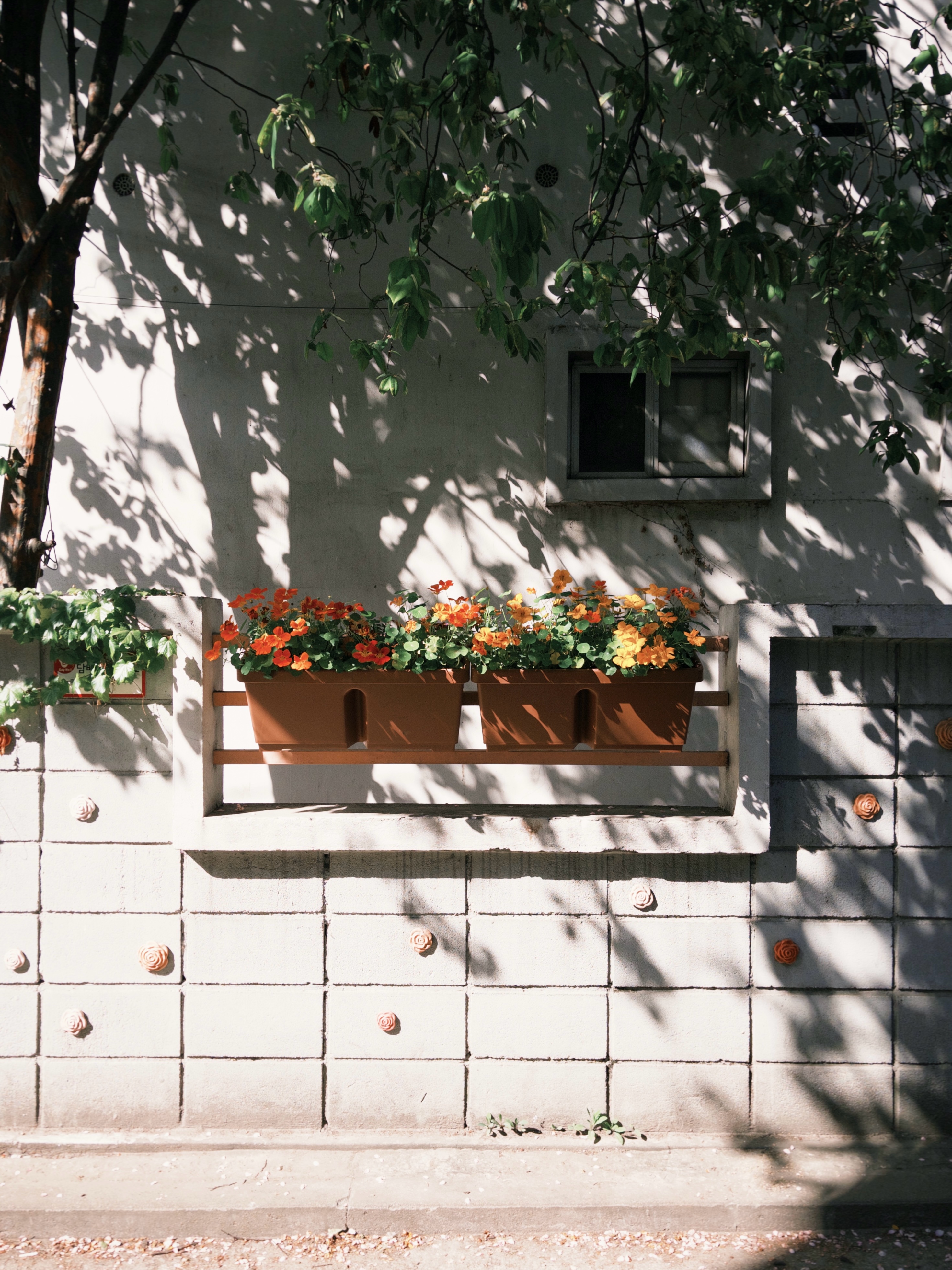 Photo by 니진 잘 찌겄지 배경화면 하세용