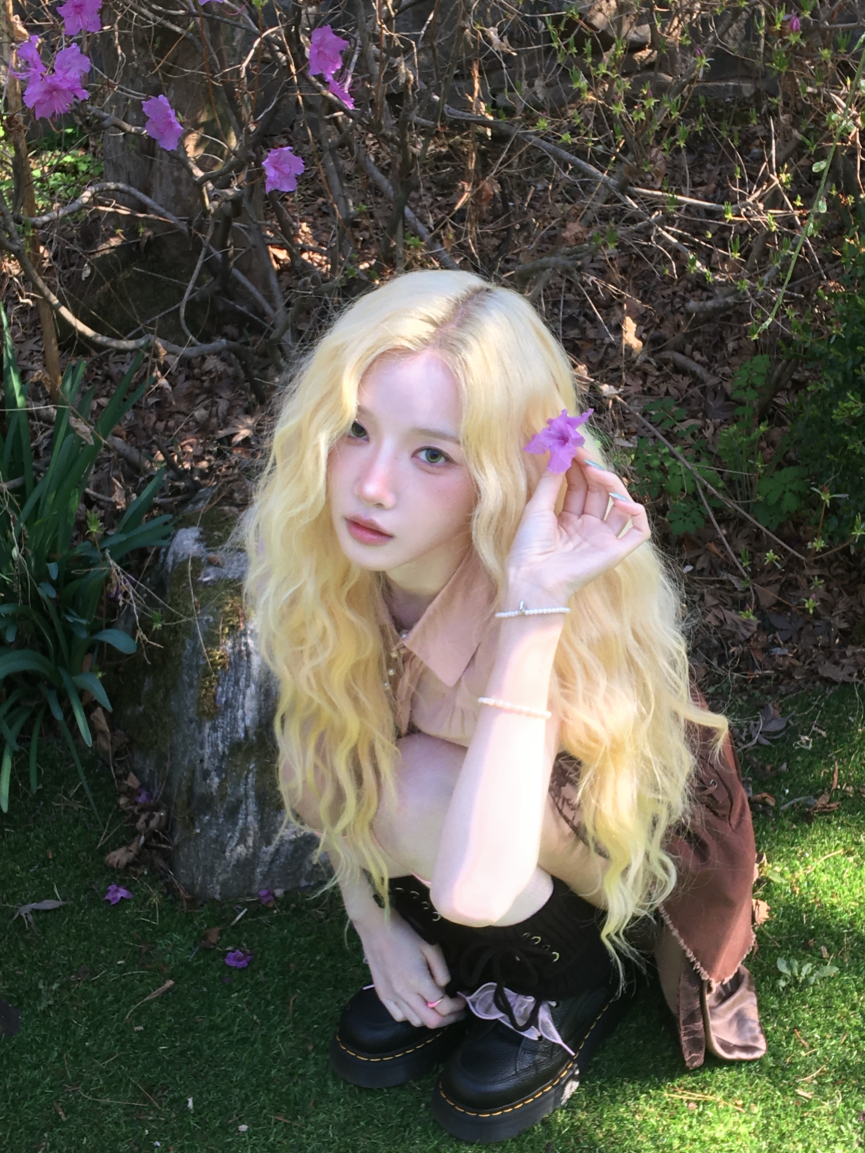 🌸🌸🌸🌸🌸