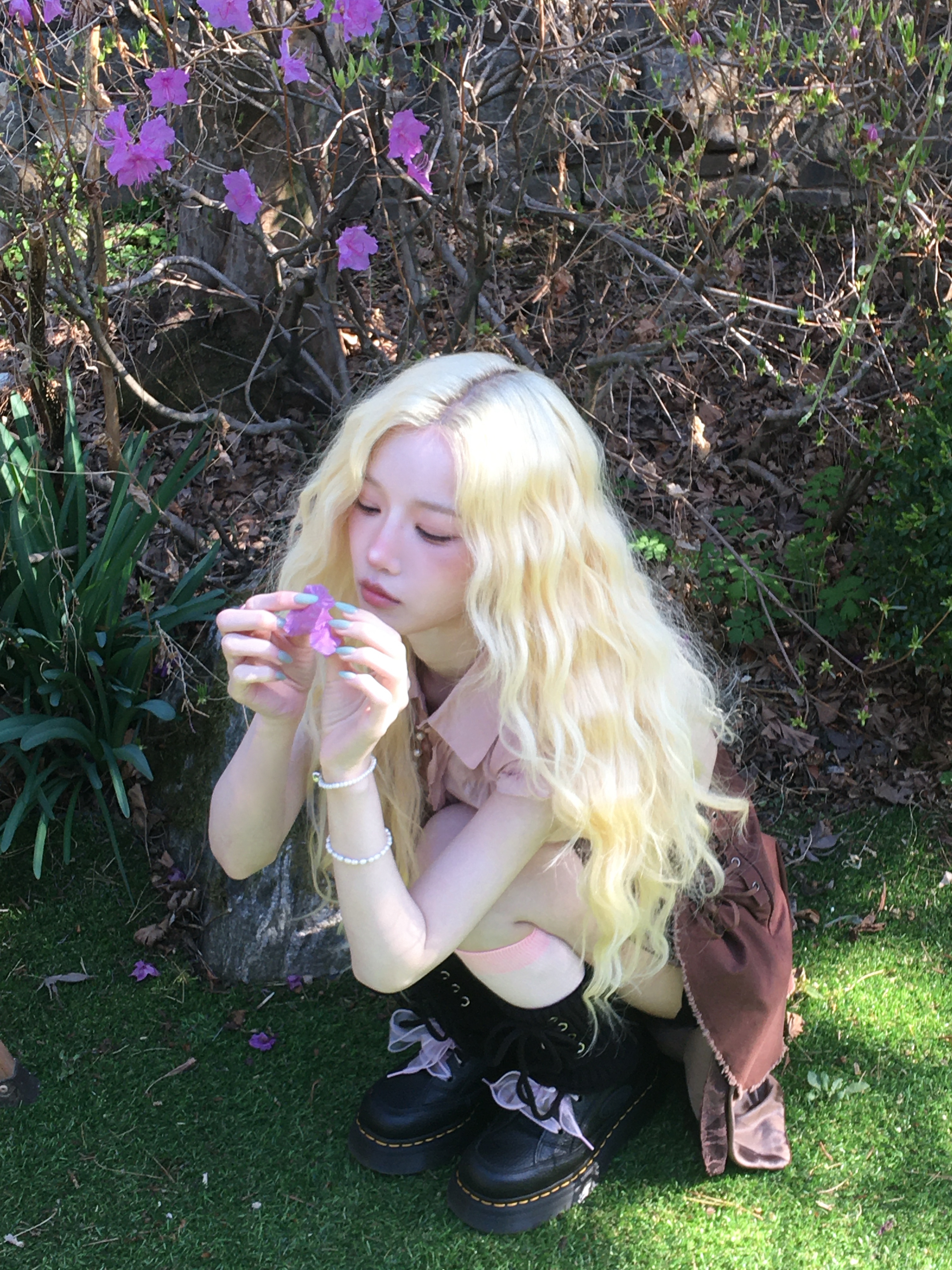 🌸🌸🌸🌸🌸