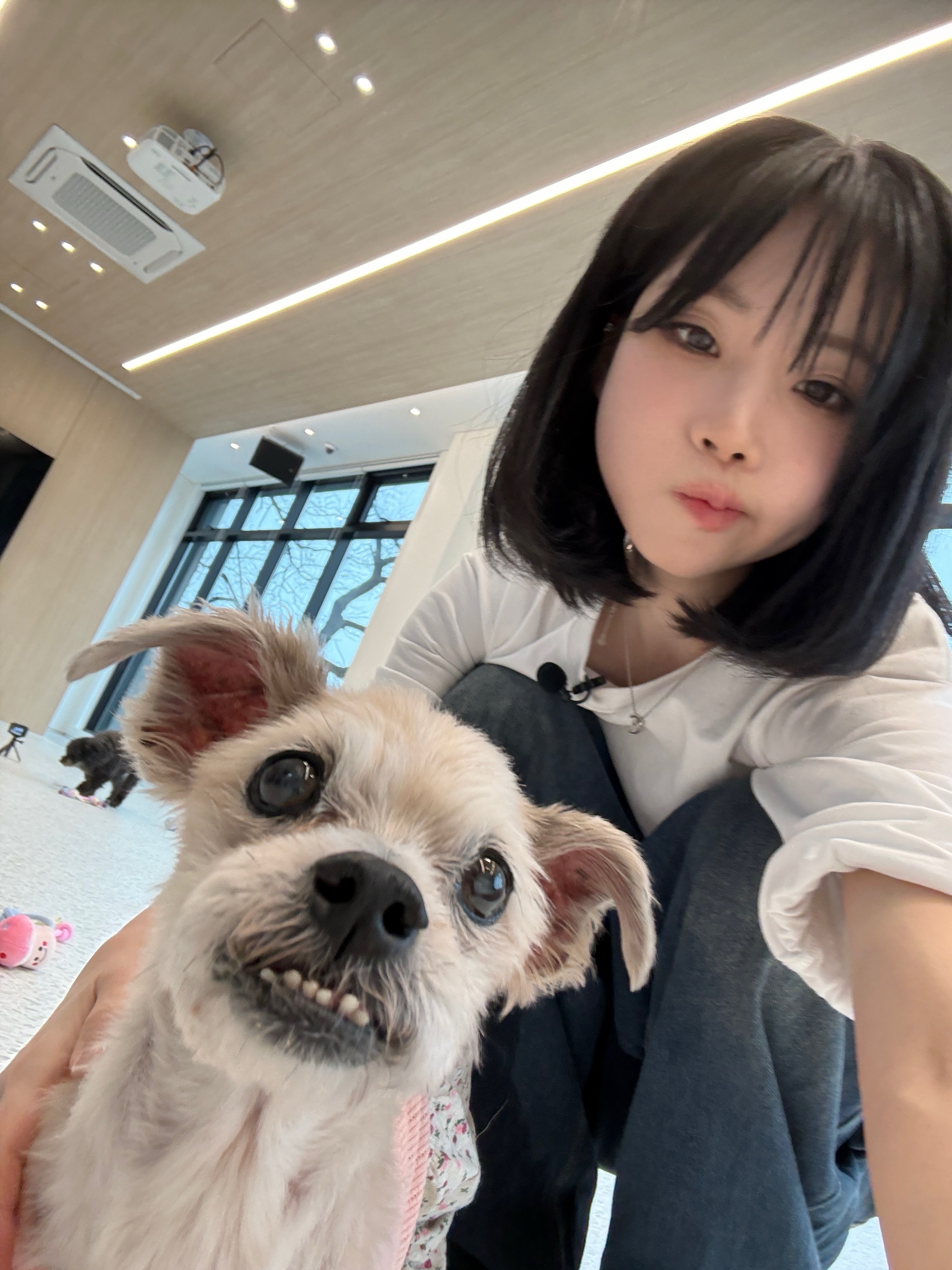 2026년 2월 4일 수요일
댕댕이들이랑🐶🐶
깨비야 나야 간식이야