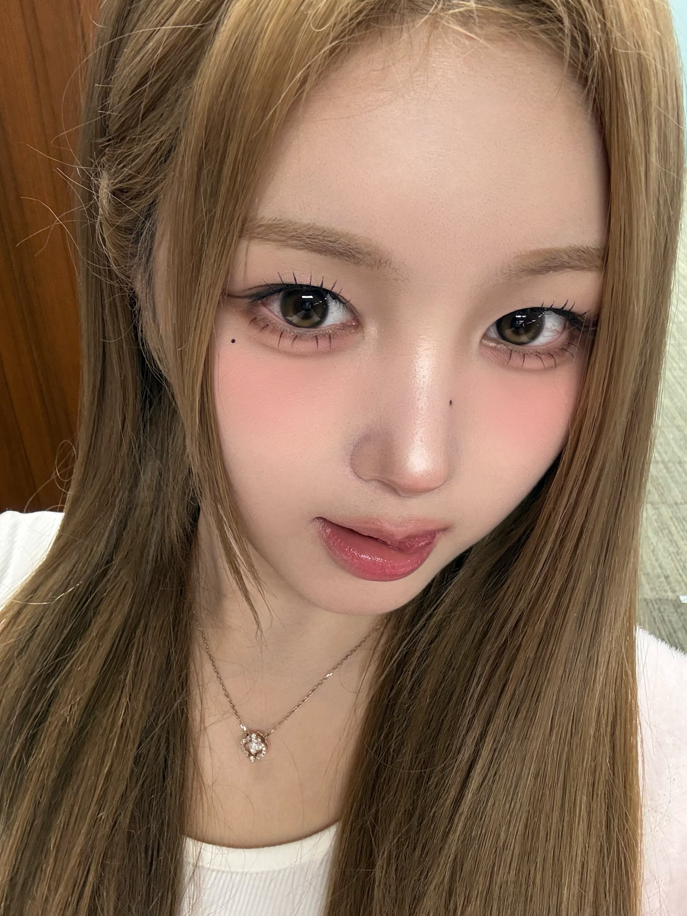 행운의 고양이 😽🍀