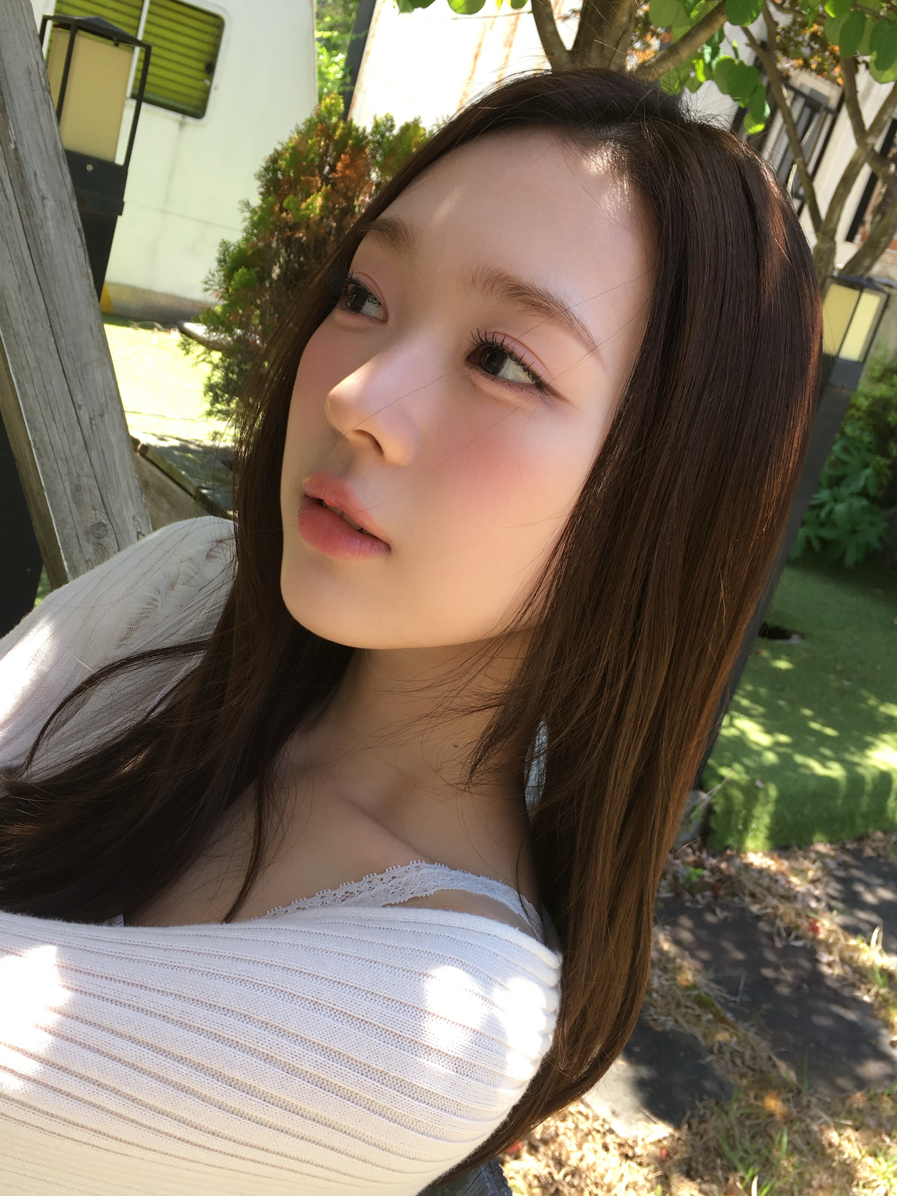 사진 정리🍏